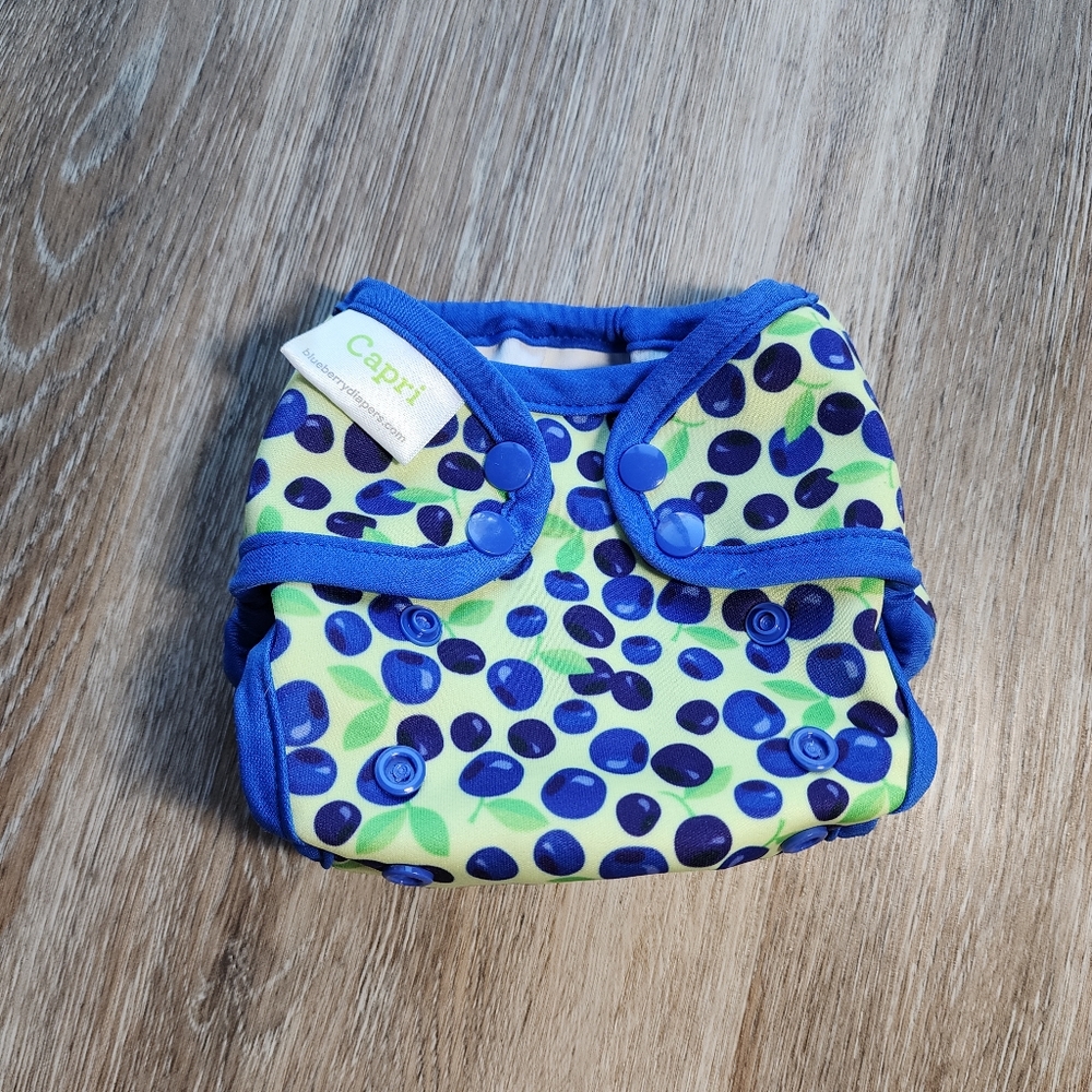 Blueberry Capri Cloth Diaper Cover Size 1 Blueberries Print